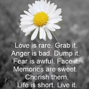 Meet your Posher, Beth